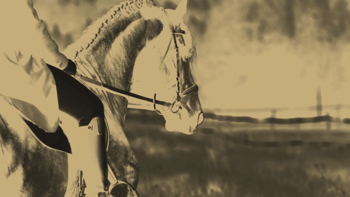 Are Riders Too Heavy for Their Horses?